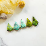 Medium Mixed Shield Mixed Turquoise, Set of 5 Background