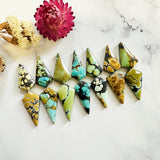 Large Mixed Shield Mixed Turquoise, Set of 14 Background