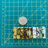 Large Mixed Bar Mixed Turquoise, Set of 9 Dimensions