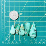 Large Sea Green Teardrop Crescent Lake Variscite, Set of 5 Dimensions