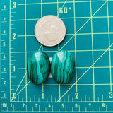 Large Sea Green Oval Malachite Copper Mineral, Set of 2 Dimensions