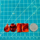 Large Royal Orange Mixed Spiny Oyster, Set of 4 Dimensions