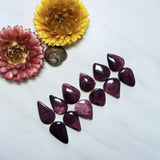 Medium Purple Teardrop Spiny Oyster, Set of 12 Background
