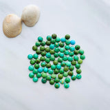 6x6mm Round Sonoran Gold Turquoise Cabochons, Set of 4