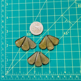 Medium Swamp Green Teardrop Rosarita, Set of 9 Dimensions