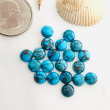 7x7mm Round Prince Egyptian, Set of 2
