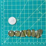 Medium Swamp Green Mixed Rosarita, Set of 8 Dimensions