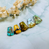 Medium Mixed Petal Mixed Turquoise, Set of 5 Background