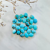 8x10mm Oval Carico Lake, Set of 2
