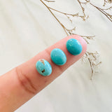 8x10mm Oval Carico Lake, Set of 2