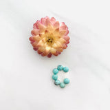 Design-ready Presets - Green Egyptian Letter C Pendant Background