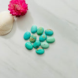 12x16mm Oval Carico Lake, Set of 1