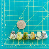 Medium Mixed Freeform Mixed Turquoise, Set of 6 Dimensions