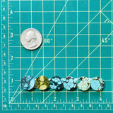 Small Mixed Round Mixed Turquoise, Set of 6 Dimensions