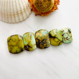 Medium Royal Orange Barrel Treasure Mountain Turquoise, Set of 5 Background