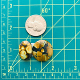 Medium Earth Brown Mixed Treasure Mountain Turquoise, Set of 2 Dimensions