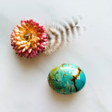 Large Ocean Blue Nugget Wild Horse Background