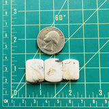 Medium White Barrel White Buffalo Dolomite, Set of 3 Dimensions
