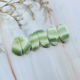Medium Lime Green Freeform Green Serpentine Serpentine, Set of 6 Background