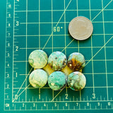 Medium Sea Green Round Crescent Lake Variscite, Set of 6 Dimensions