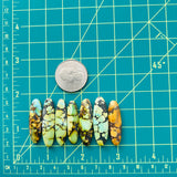 Large Mixed Surfboard Mixed Turquoise, Set of 7 Dimensions