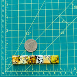 Medium Royal Orange Square Treasure Mountain Turquoise, Set of 6 Dimensions