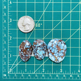 Large Sky Blue Freeform Golden Hills Turquoise, Set of 3 Dimensions