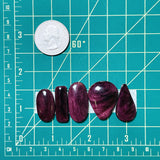 Medium Purple Mixed Spiny Oyster, Set of 5 Dimensions