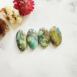 Large Sea Green Oval Crescent Lake Variscite, Set of 4 Background