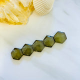 Medium Swamp Green Hexagon Rosarita, Set of 5 Background