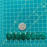 Medium Deep Green Oval Malachite Copper Mineral, Set of 8 Dimensions