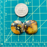 Medium Royal Orange Mixed Treasure Mountain Turquoise, Set of 2 Dimensions