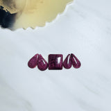 Medium Purple Mixed Spiny Oyster, Set of 5 Background