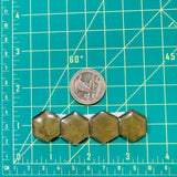 Medium Swamp Green Hexagon Rosarita, Set of 4 Dimensions