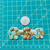 Small Mixed Hexagon Number 8 Turquoise, Set of 21 Dimensions
