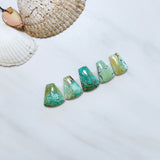 Medium Mixed Petal Mixed Turquoise, Set of 5 Background