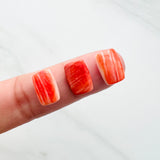 8x12mm Rectangle Spiny Oyster, Set of 2