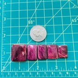 Medium Purple Bar Spiny Oyster, Set of 5 Dimensions