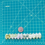 Medium Lime Green Oval Green Serpentine Serpentine, Set of 12 Dimensions