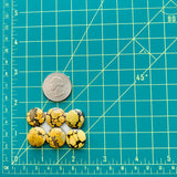 Medium Royal Orange Round Treasure Mountain Turquoise, Set of 6 Dimensions