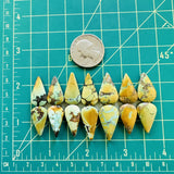 Medium Mixed Teardrop Mixed Turquoise, Set of 14 Dimensions