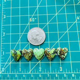 Medium Sea Green Heart Yungai Turquoise, Set of 5 Dimensions