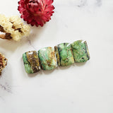Large Sea Green Barrel Crescent Lake Variscite, Set of 4 Background