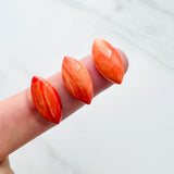 10x20mm Marquis Spiny Oyster, Set of 1