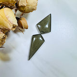 Large Swamp Green Shield Rosarita, Set of 2 Background