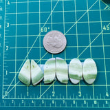 Medium Lime Green Freeform Green Serpentine Serpentine, Set of 6 Dimensions