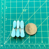 Small Sky Blue Freeform Sleeping Beauty Turquoise, Set of 6 Dimensions