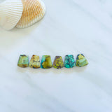 Medium Mixed Freeform Mixed Turquoise, Set of 6 Background