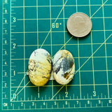 Large Light Yellow Oval Crescent Lake Variscite, Set of 2 Dimensions