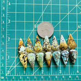 Medium Mixed Teardrop Mixed Turquoise, Set of 14 Dimensions